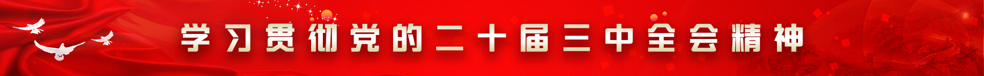 學習貫徹黨的二十屆三中全會精神